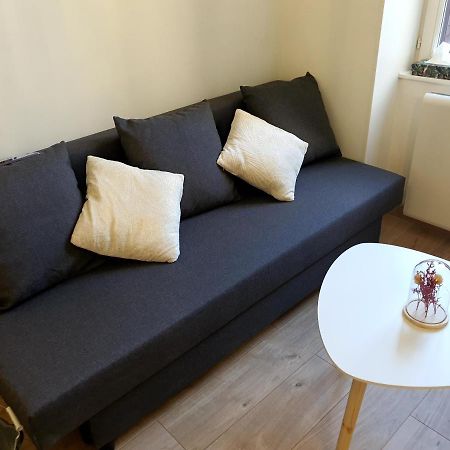 Appartement Cosy Entier, Parking Gratuit Dans La Rue Dijon Dış mekan fotoğraf